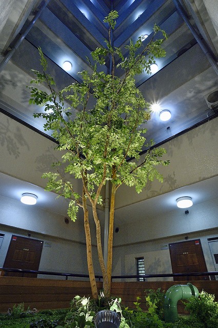 マンション中央部